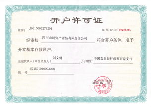 四川山河資產(chǎn)評估有限責(zé)任公司 專業(yè)評估服務(wù)，守護資產(chǎn)價值