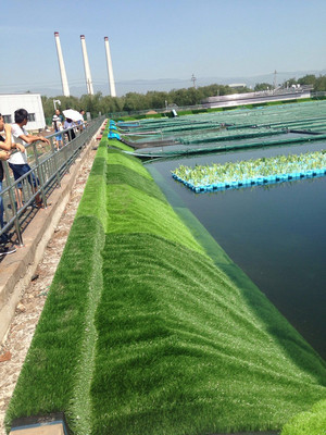 污水滋養(yǎng)綠意生 探秘山西污水處理廠的生態(tài)革新