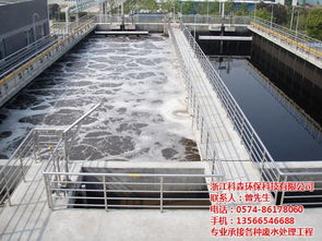 嘉興制藥廠污水處理工程 科森環(huán)保專(zhuān)業(yè)技術(shù)與多圖解析