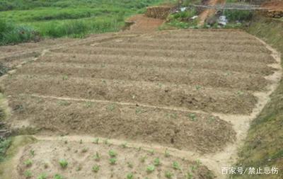 國(guó)家實(shí)施土地整理，提升土地利用率的重要舉措