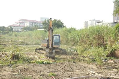 曹溪片區(qū)攻堅(jiān)克難 浮蔡棚改項(xiàng)目集中清表助力土地高效整理
